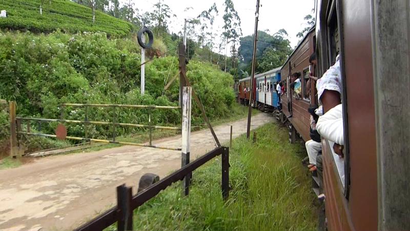 treinreis Peradeniya Naar Nanuoya